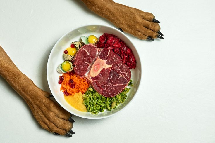 what to feed your dog to prevent and limit cancer effects – imprimed